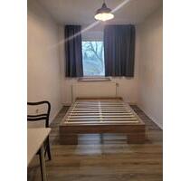 Gemütliches Appartment-Zimmer bis Oktober zu vermieten - Brück