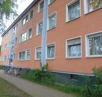 29633 Munster 4-Zimmer Wohnung Innenstadt neben Aldi renoviert