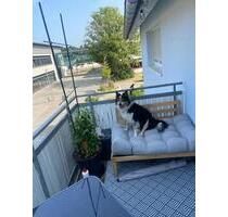 Helle 3 Zimmer Wohnung - 850,00 EUR Kaltmiete, in Ellwangen (Jagst) (PLZ: 73479)