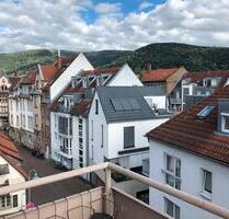 HD-Neuenheim 2 Zimmer zentral mit Neckarblick - Leimen