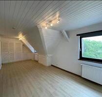 Schöne 1 Zimmer Dachgeschoss Wohnung in Langenlonsheim zu
