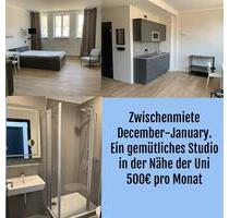 Zwischenmiete - 580,00&nbsp;EUR Kaltmiete, ca.&nbsp; 35,00&nbsp;m&sup2; in Kassel (PLZ: 34119) Vorderer Westen