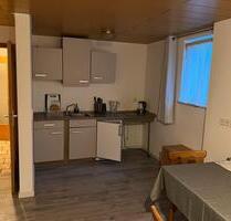 1 Zimmer Wohnung inkl. Möbel und Nekos, in Untersteinbach - Pfedelbach