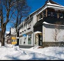 2 Zimmer Apartment mit Einbauküche - Clausthal-Zellerfeld
