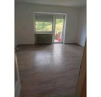 Neu renov. 1 Zimmer Apartment mit EBK und Balkon - Bad Mergentheim