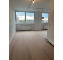 Frisch sanierte 1- Zimmer Wohnung (50qm) in Bickenbach