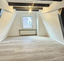 Renovierte 2 Zimmer Wohnung in der Innenstadt von Bad Wimpfen und Blauen Turm Blick zu vermieten
