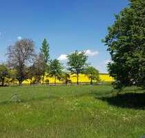 Freundlich helle 3 Zimmer Wohnung - Treppendorf
