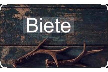 3 Zimmer Wohnung in Remseck am Neckar