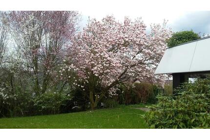 Repräsentativ in exklusiver Aussichtslage von Bad Godesberg - Bonn