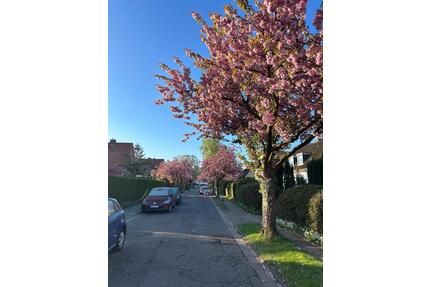 2 befristete WG Zimmer mit ganzer Wohnung, gute S-Bahn Anbindung - Hamburg Wandsbek