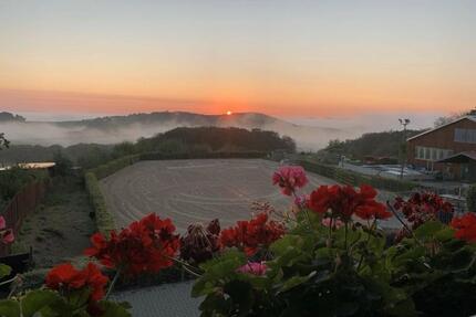 Maisonette 3 Zimmer auf Reitanlage - Sankt Katharinen