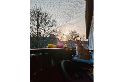 Nachmieter für 4 Zimmer Wohnung mit Balkon - Garbsen