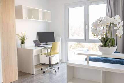 Wohnen auf Zeit in Potsdam 895,00 €