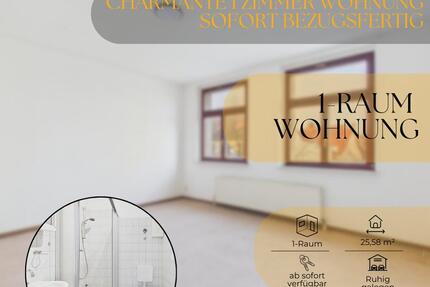 ✨ Einziehen & wohlfühlen charmante 1 Zimmer Wohnung sofort bezugsfertig - Schönebeck (Elbe)