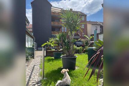 Helle, geräumige 4 Zimmer Dachgeschoss Wohnung - Eisenach