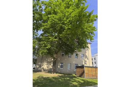 1,5 Zimmer Dachgeschosswohnung, Mildred-Scheel-Straße 2, Amberg