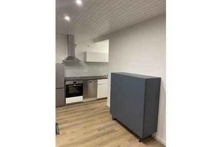 Kernsanierte 2 Zimmer Wohnung vollausgestattet mit Designermöbeln - Mannheim Niederfeld