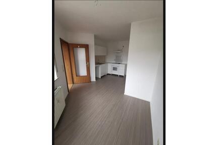 Charnante 2,5 Zimmer Wohnung mit TG Stellplatz & Balkon - Frankenthal (Pfalz)