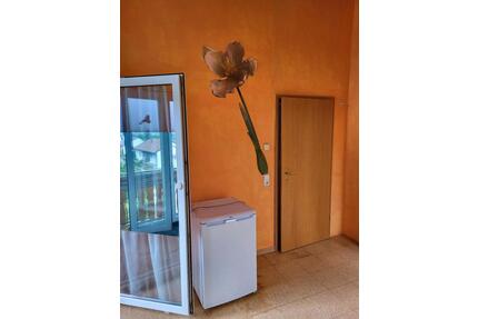 WG-zimmer Ehingen Donau ab 1Mai - Ehingen (Donau)