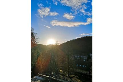 1 Zimmer Wohnung Appartement Saniert Küche Schwimmbad barierfrei - Bad Herrenalb