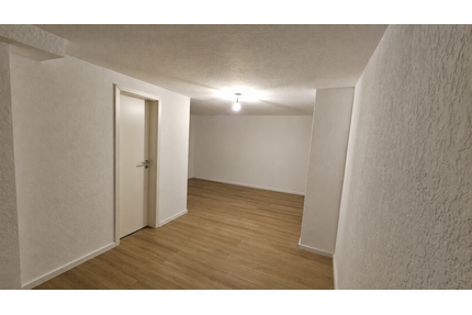 Wohnung zum Mieten in Mannheim 500,00 € 25 m²