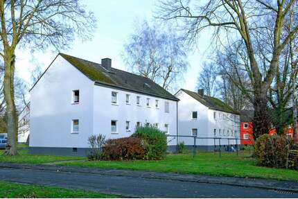 Wohnung zum Mieten in Dortmund 425,00 € 50 m²