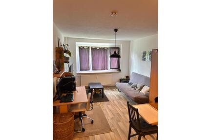 Gemütliche 1-Zimmer Wohnung in Greifswald Schönwalde 2