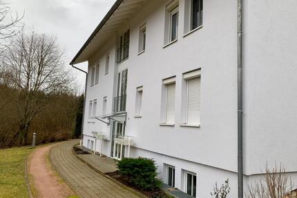 1 Zimmer Wohnung Donaueschingen Terrasse und Garage