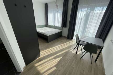 Wohnen auf Zeit in Wiesbaden 730,00 €