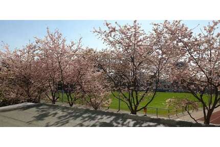 Wohnen auf Zeit in Düsseldorf 1.700,00 €