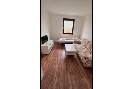 Möbiliertes 1 Zimmer Apartment warm 750€ - Stuttgart Mühlhausen