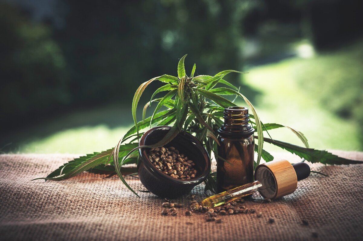Indoor-Anbau von Cannabis in Wohnung und WG