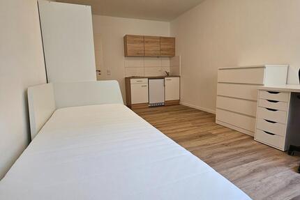 1 Zimmer Wohnung 64283 Darmstadt Innenstadt Renoviert Möbliert