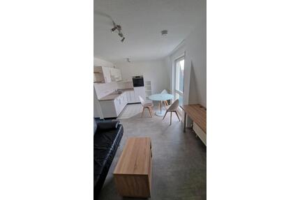 Möblierte 2 Zimmer Wohnung in Ludwigsburg ab sofort zu vermieten - Stuttgart Bad Cannstatt