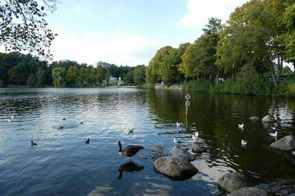 Wohnen auf Zeit in Hamburg 1.590,00 €