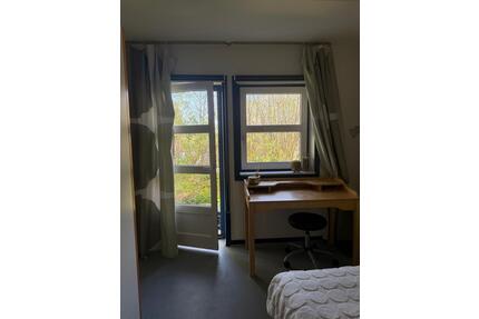 Gemütliches WG- Zimmer direkt an der Uni - Tastrup