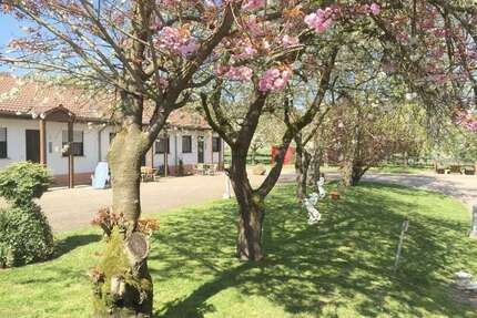 Wohnen auf Zeit in Merzig 1.600,00 €