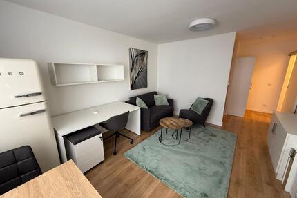 Möbliertes, neuwertiges Studio mit Balkon – Frankfurt Sachsenhaus - Frankfurt am Main Süd