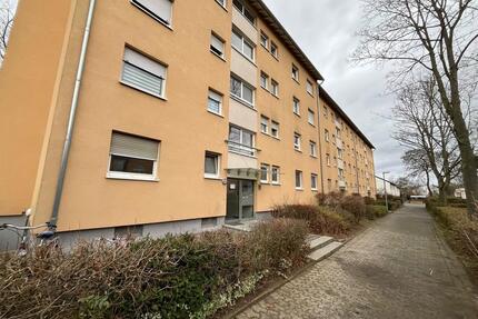 4 Zimmer Wohnung zu Vermieten - 1.520,00&nbsp;EUR Kaltmiete, ca.&nbsp; 90,00&nbsp;m&sup2; in Groß-Gerau (PLZ: 64521)