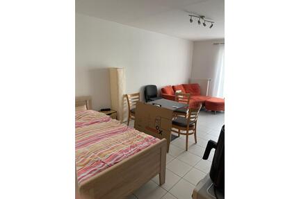 1 Zimmer Appartment Trier Pallien - Osburg