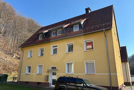 Lüdenscheid-Eggenscheid: 2 Zimmer Nähe Freisenberg