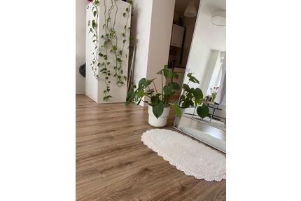 1-Zimmer-Wohnung - 550,00&nbsp;EUR Kaltmiete, ca.&nbsp; 48,00&nbsp;m&sup2; in Magdeburg (PLZ: 39106) Alte Neustadt