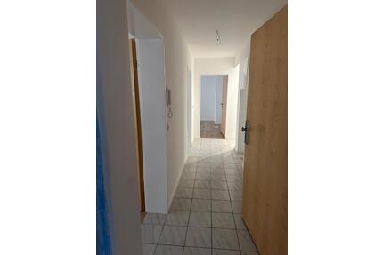 helle zwei Zimmer Wohnung in Winden-Sinzheim, ca. 60 qm, EG - Baden-Baden Balg