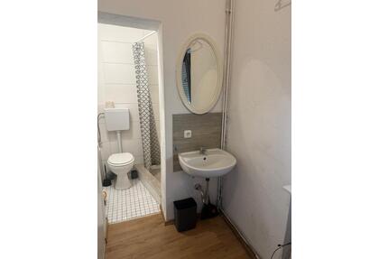 1 Zimmerwohnung in Mainz Waisenau zu vermieten