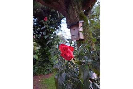 Wohnen auf Zeit in Sendenhorst Albersloh 1.480,00 € - Sendenhorst / Albersloh