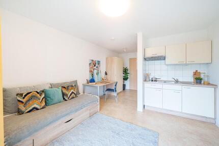 Zentral gelegenes 1‑Zimmer Apartment zur Miete in Dresden-Neustadt – Wentzel Dr.