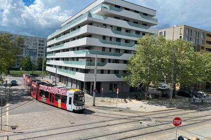 Frischsanierte 3 Zimmer Wohnung mit 2 Bäder - Dresden