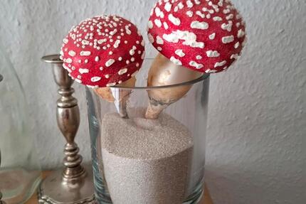 1 WG ZIMMER Auszeit ohne Anmeldung - Nürnberg Erlenstegen