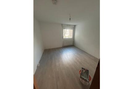 Top WG Zimmer in ruhiger Lage – sofort verfügbar - Freiburg im Breisgau Haslach